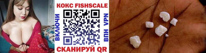 shop наркотические препараты  Ахтубинск  Cocaine Fish Scale  где можно купить наркотик 