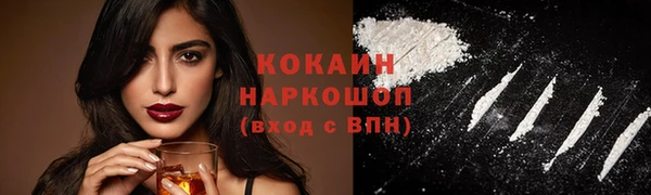 PSILOCYBIN Аркадак