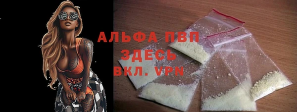 PSILOCYBIN Аркадак