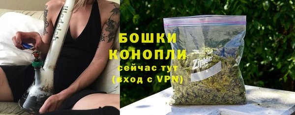 PSILOCYBIN Аркадак