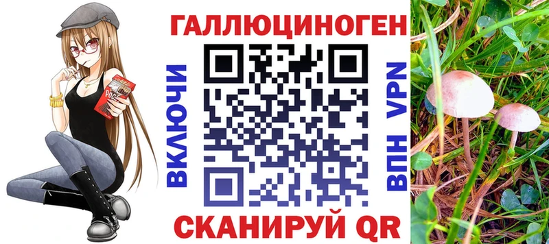 цена   Ахтубинск  Псилоцибиновые грибы мухоморы 