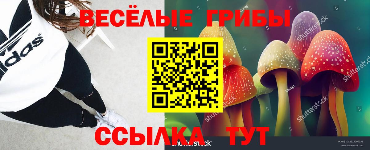 Галлюциногенные грибы Cubensis  Вход с VPN  Ахтубинск  Галлюциногенные грибы GOLDEN TEACHER 